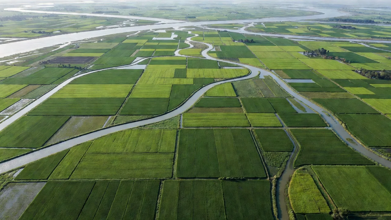 Agricultural Research Trends Shaping South Asia in 2026