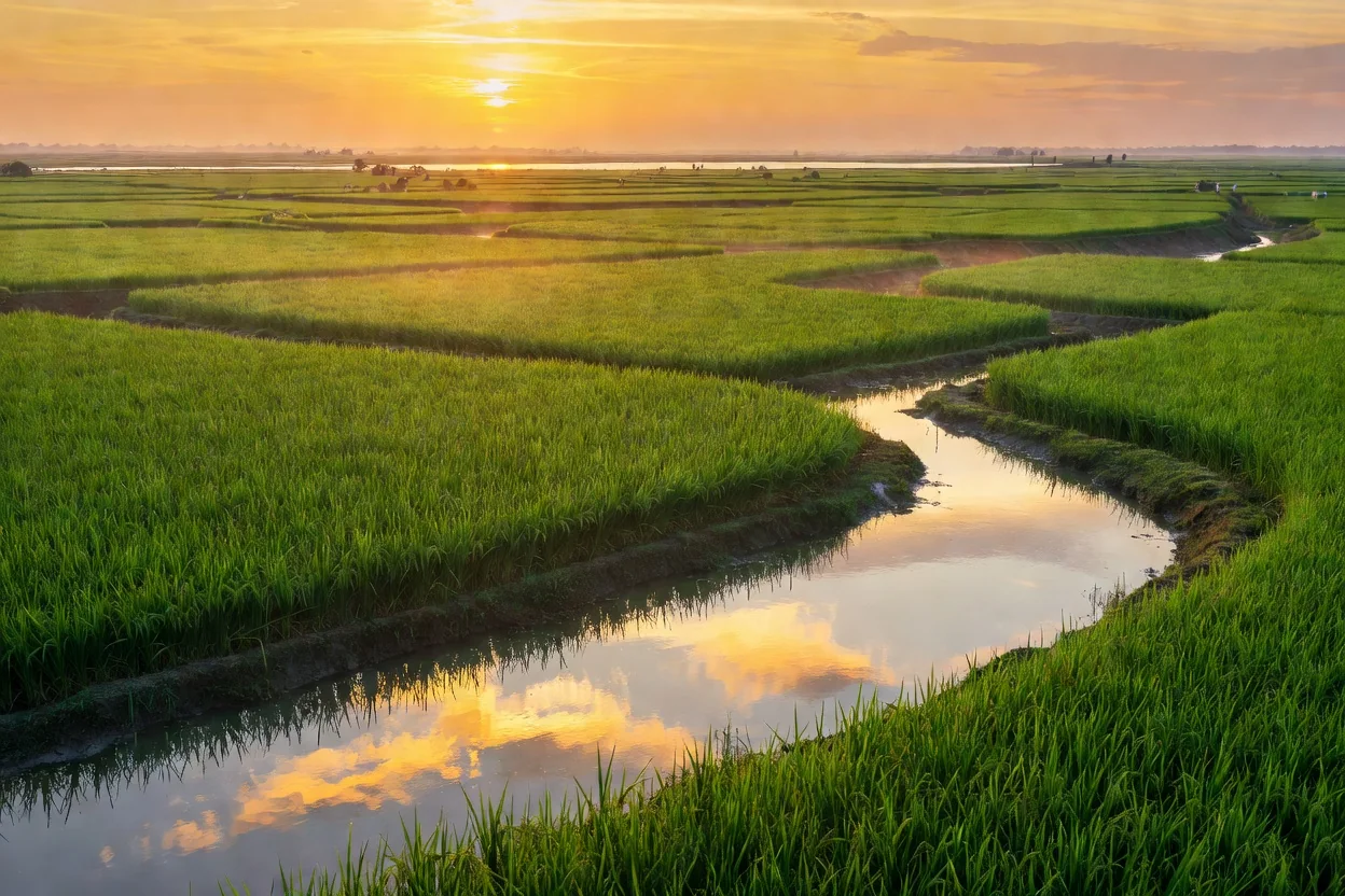 What Is an Agricultural Research Endowment Trust?